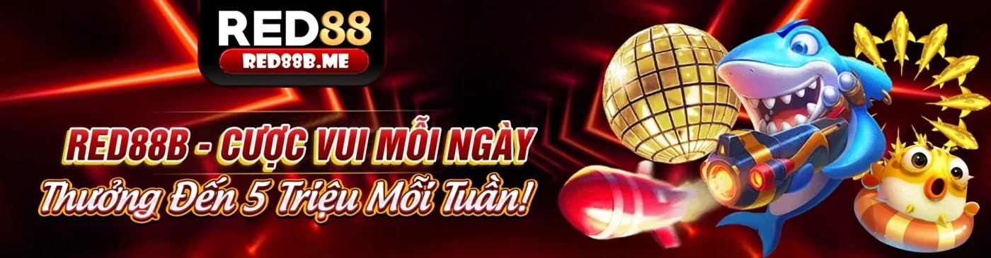 Hình ảnh giới thiệu s888now cho người mới bắt đầu